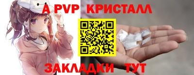 спайс Гусев