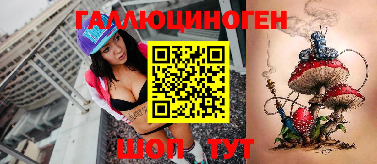 Малоярославец  Галлюциногенные грибы прущие грибы  Вход с VPN 