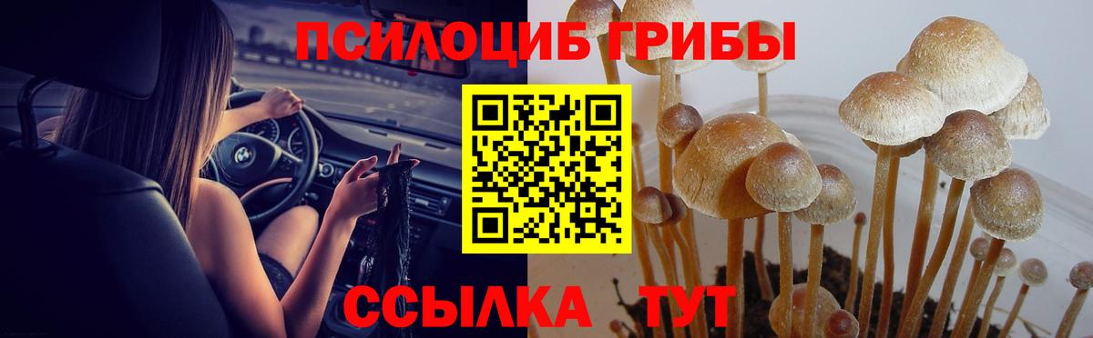 Псилоцибиновые грибы мухоморы Малоярославец